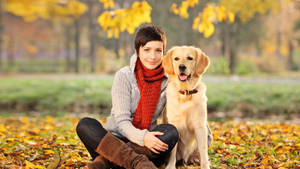 短髮戴紅圍巾的女性與黃金獵犬坐在秋日公園的落葉上。 — 可愛小狗 壁紙