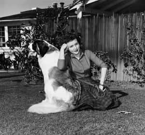 女性坐在草地上，旁邊有大型聖伯納犬咬著狗繩 — 貝蒂·懷特 壁紙