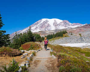 登山者在陽光明媚的日子裡沿著山路走向白雪覆蓋的山頂。 — 5:4 壁紙