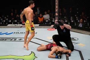 UFC拳手勝利地站在倒下的對手之上，裁判正在檢查他。 — 終極格鬥冠軍賽 壁紙