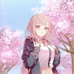 春天櫻花下，粉紅色頭髮和眼睛的動漫女孩。 — 櫻島麻衣 壁紙