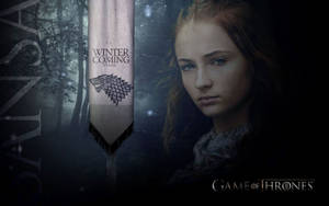 珊莎·史塔克站在黑暗的森林中，手持一面寫有『Winter is Coming』的史塔克旗幟。 — 珊莎·史塔克 壁紙