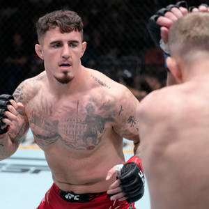 紋身MMA拳手在UFC八角籠中面對對手。 — 終極格鬥冠軍賽 壁紙