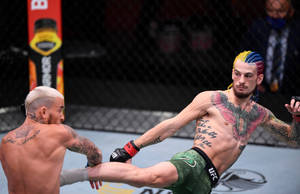 兩名MMA拳手在UFC八角籠內交戰，其中一人踢出高踢。 — 終極格鬥冠軍賽 壁紙