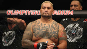 奧林匹斯基體育場八角籠內的紋身MMA拳手 — 刺青 壁紙