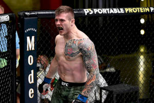 紋身MMA拳手在UFC八角籠內咆哮。 — 運動 壁紙
