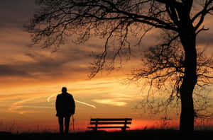 老人拄著拐杖，在夕陽下站在光禿禿的樹下的空長椅旁。 — 獨自一人 壁紙