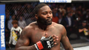 UFC拳手在八角籠內進行MMA比賽，背景有觀眾 — 終極格鬥冠軍賽 壁紙