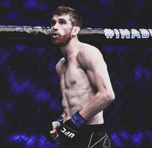 一位留鬍子的專注MMA戰士，身處藍色照明的八角籠中。 — 終極格鬥冠軍賽 壁紙
