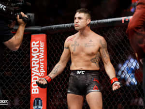 有刺青的MMA拳手在UFC八角籠內站立，比賽後。 — 運動 壁紙