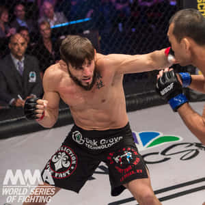兩位拳手在MMA比賽中於八角籠內互相出拳。 — 運動 壁紙