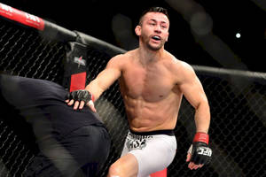 MMA拳手在比賽中於八角籠內執行高踢。 — 終極格鬥冠軍賽 壁紙
