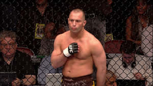 比賽期間，八角籠內戴著UFC手套的MMA拳手。 — 運動 壁紙