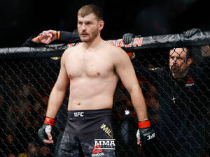 比賽期間，MMA拳手在籠內穿著UFC裝備。 — 運動 壁紙
