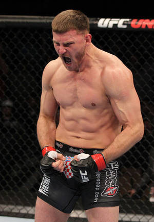 一位赤裸上身的男性MMA拳手在八角籠內贏得比賽後咆哮。 — 運動 壁紙