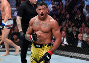 UFC拳手在八角籠內慶祝勝利，觀眾在圍欄後。 — 終極格鬥冠軍賽 壁紙