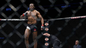 比賽後站在八角籠中的UFC拳手 — 極限運動 壁紙
