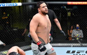 UFC拳手擊敗對手後在八角籠中勝利站立。 — 運動 壁紙