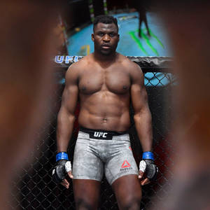 穿著灰色短褲和藍色手套的UFC拳手站在八角籠內。 — 運動 壁紙