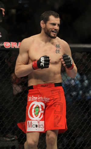 UFC拳手穿著紅色短褲和黑色手套在八角籠內慶祝勝利。 — 運動 壁紙