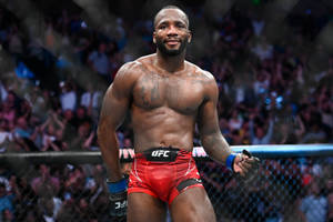 UFC拳手在八角籠中與歡呼的人群慶祝勝利。 — 酷 壁紙