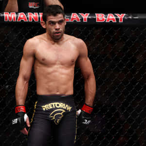 一位赤裸上身的MMA拳手穿著帶有金色Pretorian標誌的黑色短褲站在籠內。 — 運動 壁紙