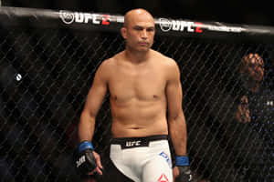 八角籠內的UFC拳手，穿著白色短褲和藍色手套。 — 運動 壁紙