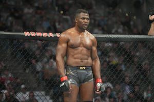 一位穿著UFC短褲和手套的肌肉發達MMA拳手，在比賽中站在八角籠內。 — 運動 壁紙