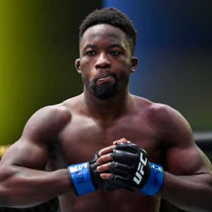 一位專注的男性MMA戰士，戴著UFC手套，擺出戰鬥姿勢。 — 運動 壁紙
