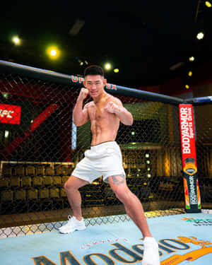 運動員在MMA籠內擺出戰鬥姿勢，帶有品牌標誌。 — 終極格鬥冠軍賽 壁紙