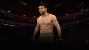 肌肉發達的MMA戰士在八角籠中，背景有觀眾 — 庫洛魔法使 壁紙