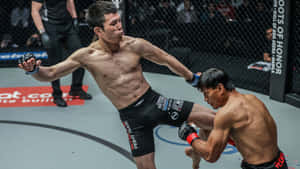 兩名MMA拳手在籠中，一人向另一人踢出高踢。 — 運動 壁紙