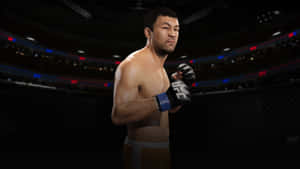 一位UFC拳手戴著手套站在八角籠競技場中。 — 庫洛魔法使 壁紙