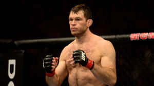 比賽期間，男性MMA拳擊手戴著手套站在八角籠內。 — 運動 壁紙