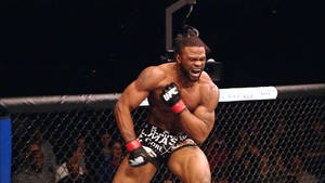 一位勝利的MMA鬥士在八角籠內慶祝，背景有粉絲。 — 慶祝 壁紙