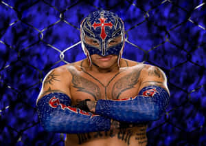 WWE圖片 — 戰士 壁紙
