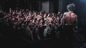 赤膊的雷鬼辮音樂家在現場音樂會上為興奮的觀眾表演。 — Scarlxrd 壁紙