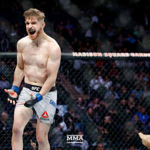 MMA拳手在麥迪遜廣場花園的籠中慶祝勝利 — 終極格鬥冠軍賽 壁紙