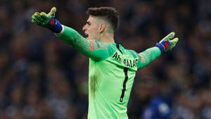 足球守門員在夜間比賽中張開雙臂吶喊。 — 運動 壁紙