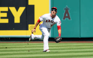 棒球選手在陽光明媚的球場上撲接滾地球。 — Mike Trout 壁紙