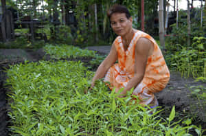 一位身穿橙色連衣裙的女性在花園中照料綠色植物。 — 農業 壁紙