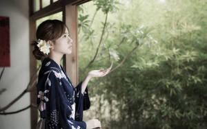 穿著傳統和服的女子望向竹框窗外 — 日本 壁紙