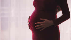 孕婦在窗簾旁穿著紅色連衣裙捧著肚子。 — 懷孕 壁紙