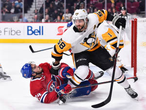 冰球運動員在激烈的NHL比賽中在冰上碰撞 — 運動 壁紙