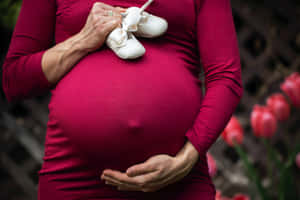 孕婦在鬱金香背景下，將白色嬰兒鞋放在肚子上方。 — 懷孕 壁紙