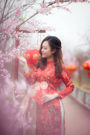 身穿紅色奧黛的女性在薄霧中觸摸櫻花，紅燈籠閃爍。 — 模特兒 壁紙