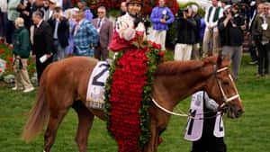騎師騎著在賽馬活動中飾有紅玫瑰的獲勝馬匹。 — 賽馬 壁紙