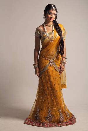 女性穿著華麗的金色紗麗，帶有紅色邊框和傳統珠寶。 — 女演員 壁紙