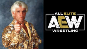 身穿金色亮片外套的摔角手在AEW Wrestling標誌旁邊指向觀眾。 — 運動 壁紙