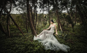 身穿白色婚紗的女性坐在鬱鬱蔥蔥的綠色森林中。 — 婚紗 壁紙